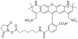 AF568-X-NHS