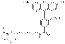 5-Rhodamine-Green-X-NHS.jpg